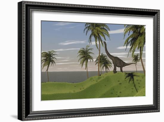 Large Brachiosaurus Grazing-null-Framed Art Print