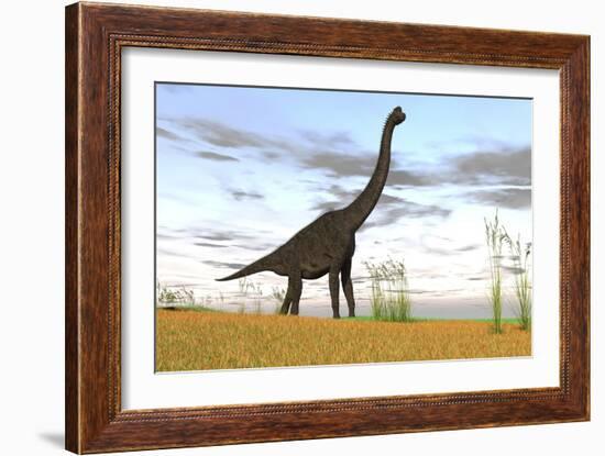 Large Brachiosaurus in a Grassy Field-null-Framed Art Print