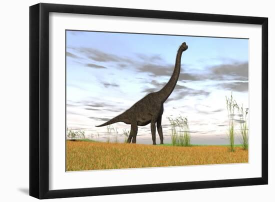 Large Brachiosaurus in a Grassy Field-null-Framed Art Print