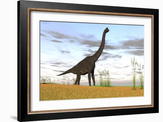 Large Brachiosaurus in a Grassy Field-null-Framed Art Print