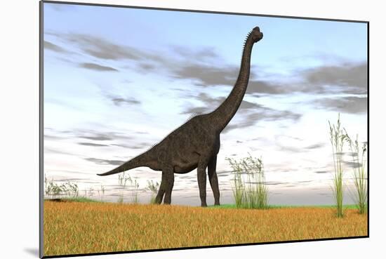 Large Brachiosaurus in a Grassy Field-null-Mounted Art Print