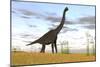 Large Brachiosaurus in a Grassy Field-null-Mounted Art Print