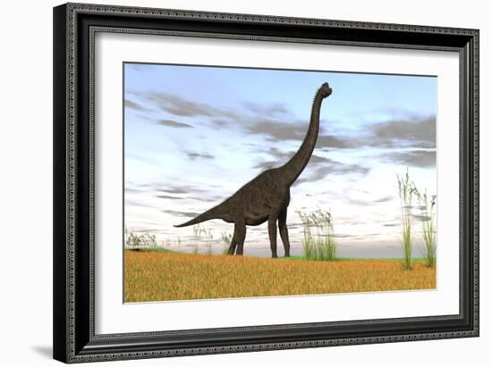 Large Brachiosaurus in a Grassy Field-null-Framed Art Print