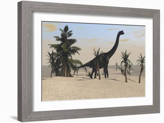 Large Brachiosaurus in a Tropical Environment-null-Framed Art Print