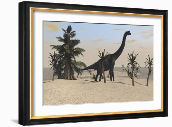 Large Brachiosaurus in a Tropical Environment-null-Framed Art Print