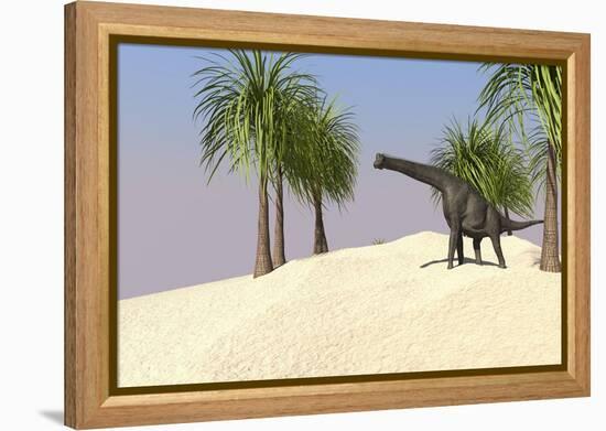 Large Brachiosaurus in a Tropical Environment-null-Framed Stretched Canvas