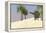 Large Brachiosaurus in a Tropical Environment-null-Framed Stretched Canvas