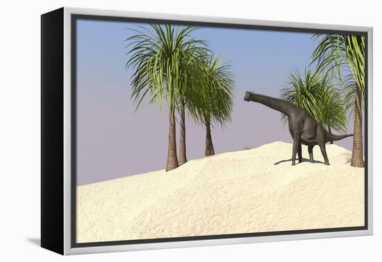 Large Brachiosaurus in a Tropical Environment-null-Framed Stretched Canvas