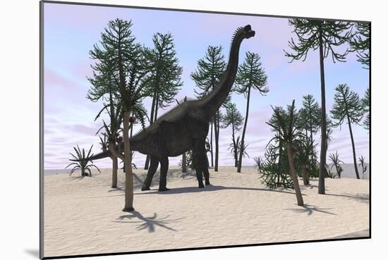 Large Brachiosaurus in a Tropical Environment-null-Mounted Art Print