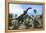 Large Brachiosaurus in a Tropical Environment-null-Framed Stretched Canvas