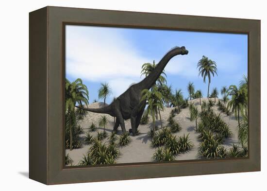 Large Brachiosaurus in a Tropical Environment-null-Framed Stretched Canvas