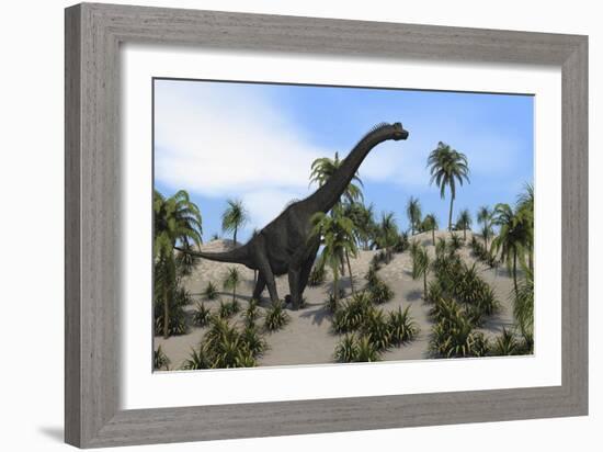 Large Brachiosaurus in a Tropical Environment-null-Framed Art Print