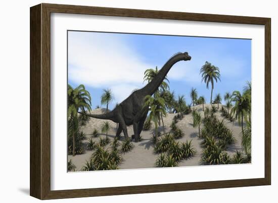 Large Brachiosaurus in a Tropical Environment-null-Framed Art Print