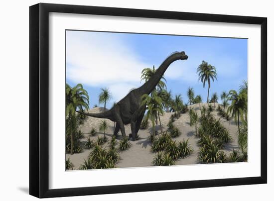 Large Brachiosaurus in a Tropical Environment-null-Framed Art Print