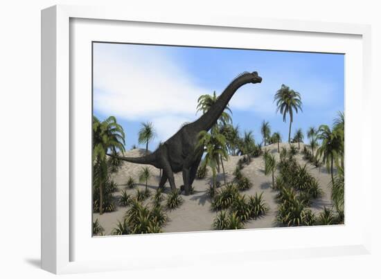 Large Brachiosaurus in a Tropical Environment-null-Framed Art Print