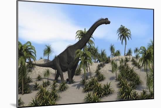 Large Brachiosaurus in a Tropical Environment-null-Mounted Art Print