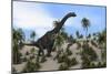 Large Brachiosaurus in a Tropical Environment-null-Mounted Art Print