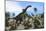 Large Brachiosaurus in a Tropical Environment-null-Mounted Art Print