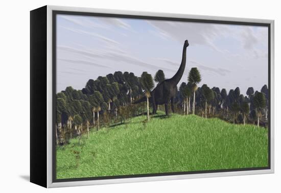 Large Brachiosaurus in an Open Field-null-Framed Stretched Canvas