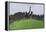 Large Brachiosaurus in an Open Field-null-Framed Stretched Canvas