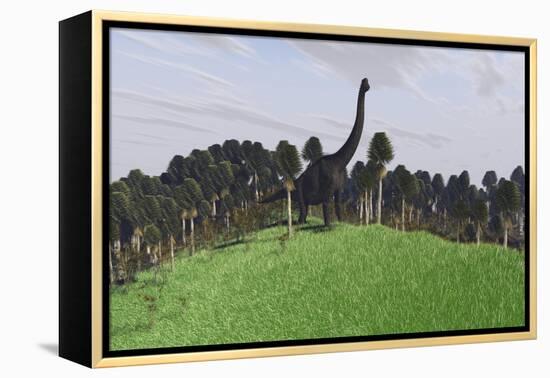 Large Brachiosaurus in an Open Field-null-Framed Stretched Canvas