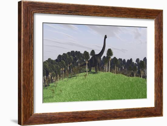 Large Brachiosaurus in an Open Field-null-Framed Art Print