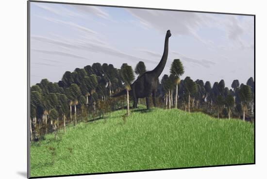 Large Brachiosaurus in an Open Field-null-Mounted Art Print