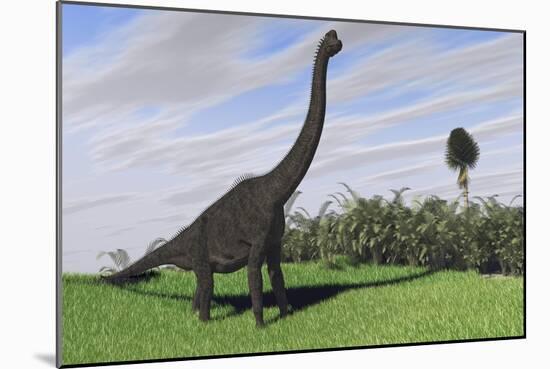 Large Brachiosaurus in an Open Field-null-Mounted Art Print