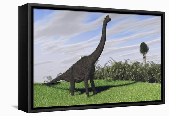 Large Brachiosaurus in an Open Field-null-Framed Stretched Canvas