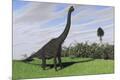 Premium Giclee Print