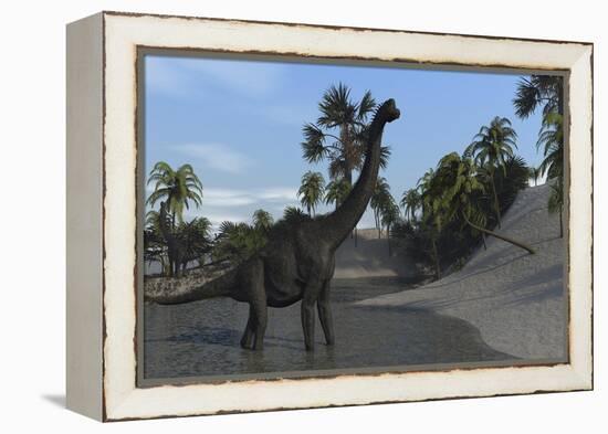 Large Brachiosaurus in Shallow Water-null-Framed Stretched Canvas