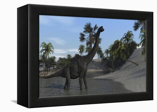 Large Brachiosaurus in Shallow Water-null-Framed Stretched Canvas