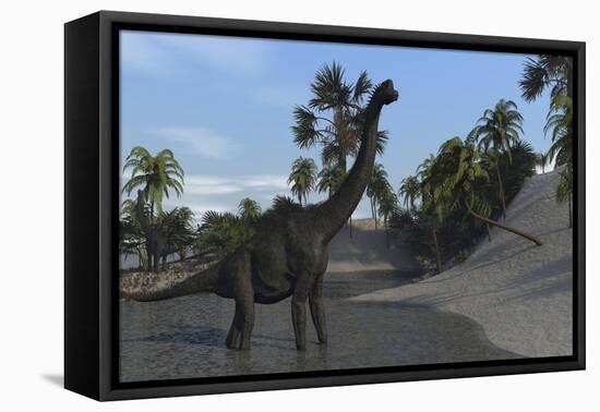 Large Brachiosaurus in Shallow Water-null-Framed Stretched Canvas