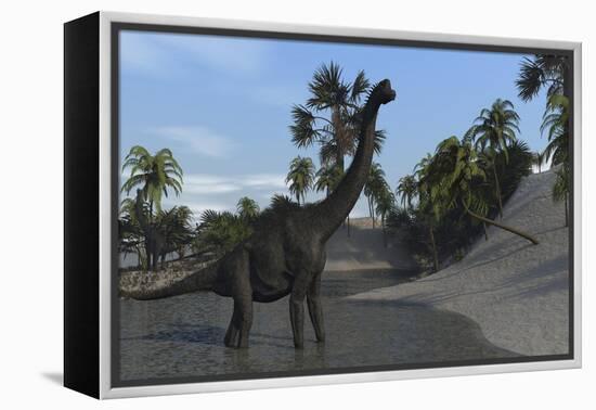 Large Brachiosaurus in Shallow Water-null-Framed Stretched Canvas