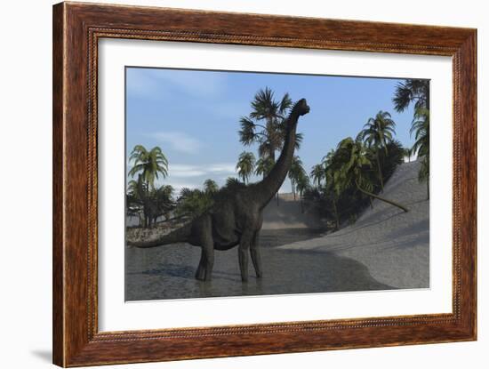 Large Brachiosaurus in Shallow Water-null-Framed Art Print