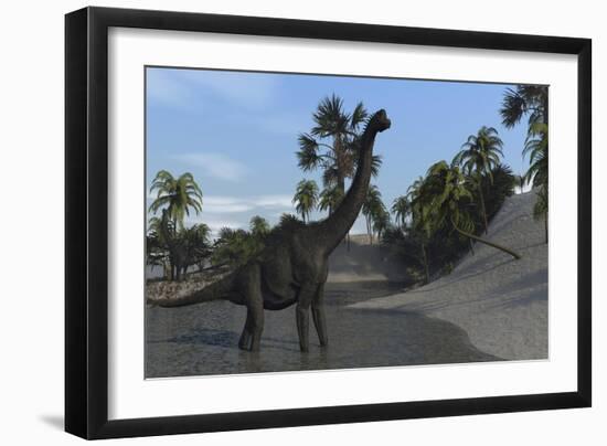 Large Brachiosaurus in Shallow Water-null-Framed Art Print