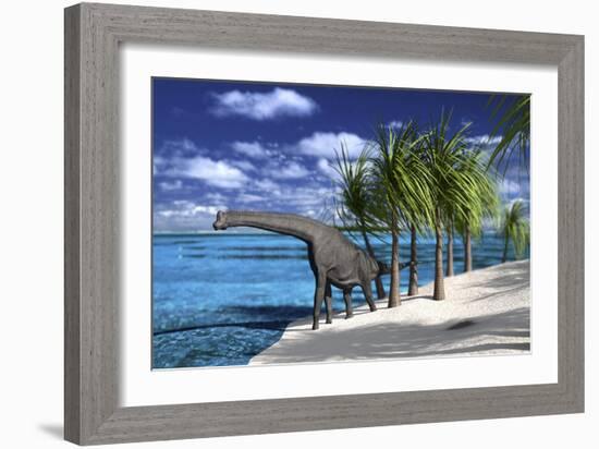 Large Brachiosaurus on the Shoreline-null-Framed Art Print