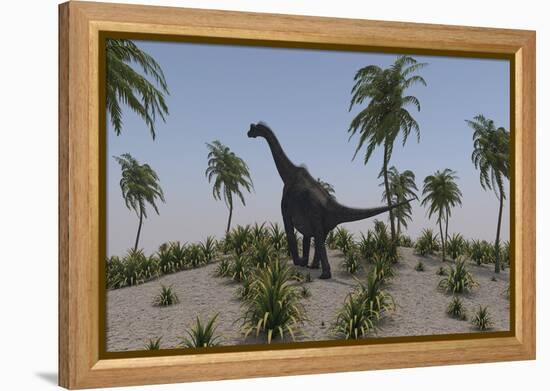 Large Brachiosaurus Roaming a Prehistoric Environment-null-Framed Stretched Canvas