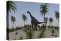 Stretched Canvas Print