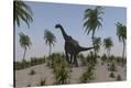 Stretched Canvas Print