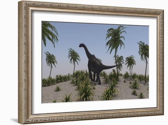 Large Brachiosaurus Roaming a Prehistoric Environment-null-Framed Art Print