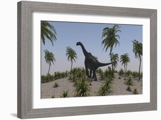 Large Brachiosaurus Roaming a Prehistoric Environment-null-Framed Art Print