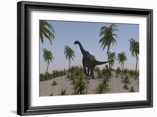 Large Brachiosaurus Roaming a Prehistoric Environment-null-Framed Art Print