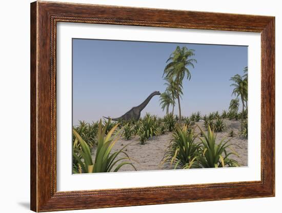 Large Brachiosaurus Roaming a Prehistoric Environment-null-Framed Art Print