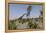 Large Brachiosaurus Roaming a Prehistoric Environment-null-Framed Stretched Canvas