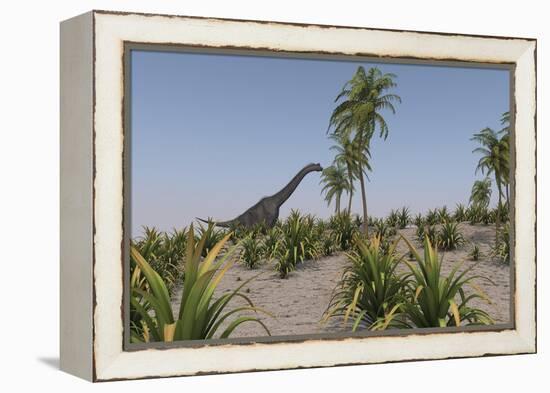 Large Brachiosaurus Roaming a Prehistoric Environment-null-Framed Stretched Canvas