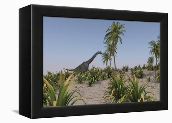 Large Brachiosaurus Roaming a Prehistoric Environment-null-Framed Stretched Canvas