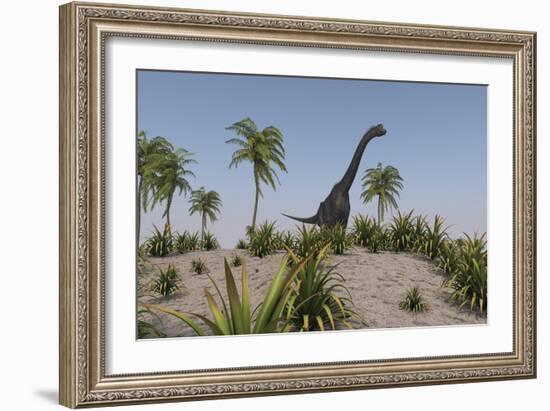 Large Brachiosaurus Roaming a Prehistoric Environment-null-Framed Art Print