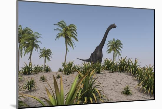 Large Brachiosaurus Roaming a Prehistoric Environment-null-Mounted Art Print