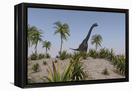 Large Brachiosaurus Roaming a Prehistoric Environment-null-Framed Stretched Canvas